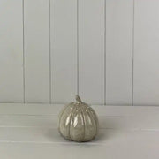 Beige Mottle Ceramic Pumpkin Decoration L10xD10xH10.5cm  Weight-259g