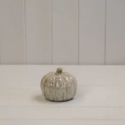 Beige Mottle Ceramic Pumpkin Decoration L8xD8xH7.5cm  Weight-185g