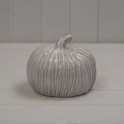Glazed Ceramic Pumpkin D14.8xH11cm  Weight-574g
