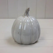 Glazed Ceramic Pumpkin W15.2xD15.2xH17.3cm  Weight-825g