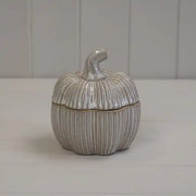 Ceramic Pumpkin Pot D11.5xH12.5cm  Weight-491g