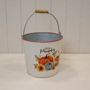 Medium 'Hello Pumpkin' Zinc Bucket