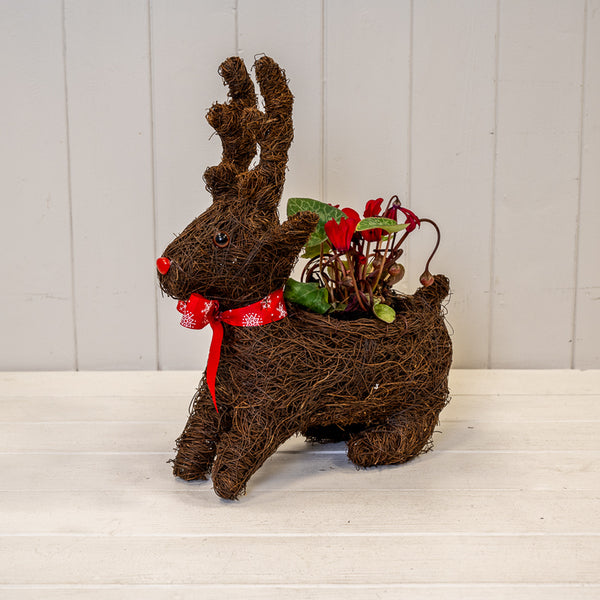 Sitting Reindeer Planter with Christmas Scarf