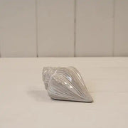 Glazed Ceramic Shell Ornament with Textured Detail L10.6xW6.5xH5cm