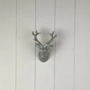 Small Stag's Head H15 X L11 cm