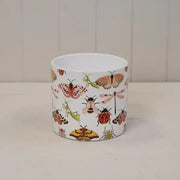 Insect Pot TD13.8cm H12.5cm