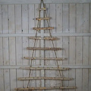 Birch Bark Ladder Tree H124 cm x W90 cm