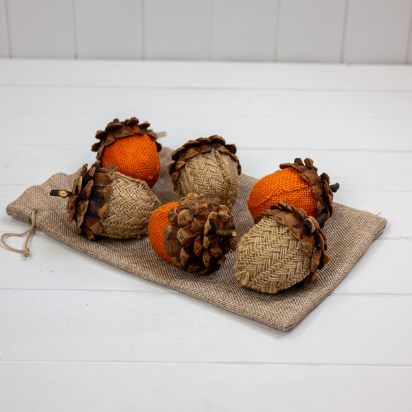 Bag of Six Acorns L6.5xH9cm Weight-119g