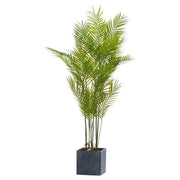 Paradise Potted Palm - Price Crash Furniture
