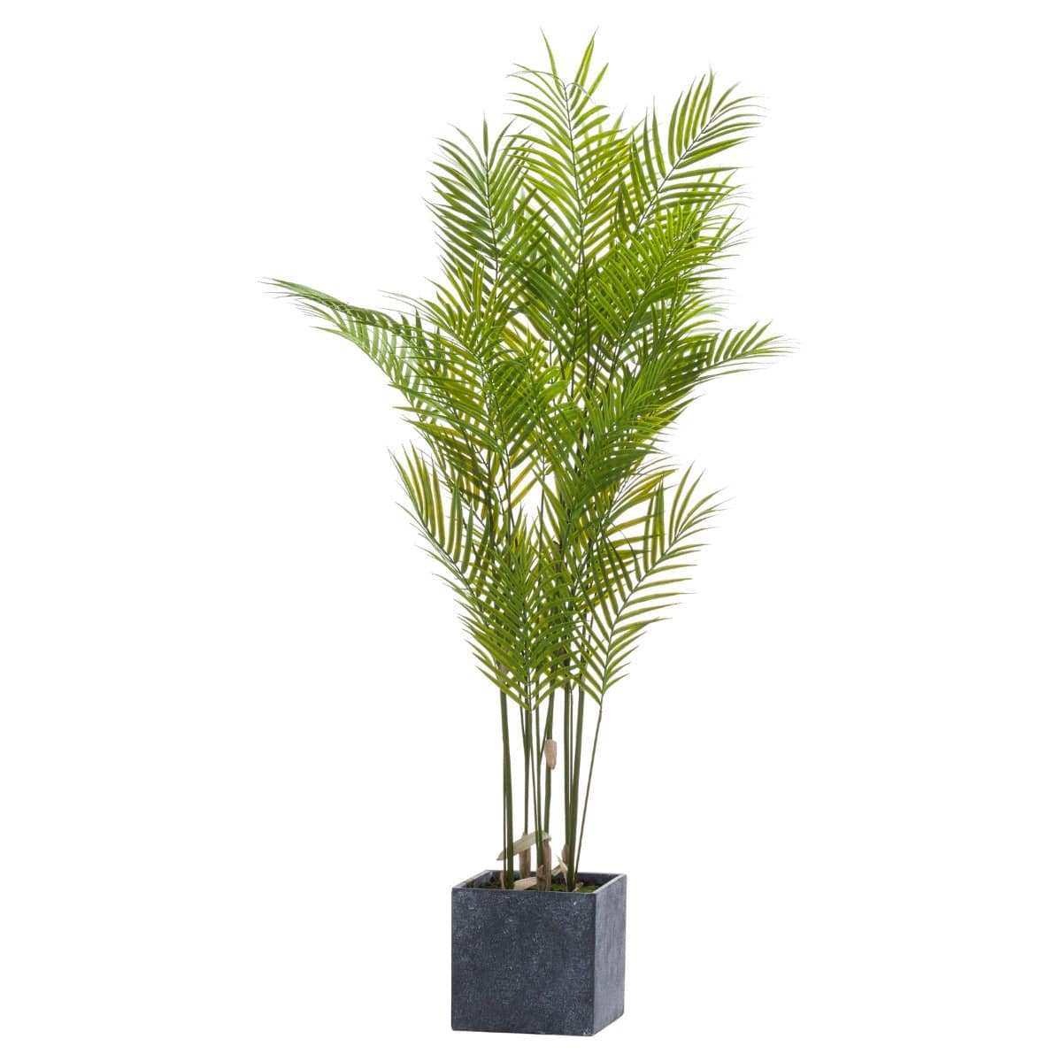 Paradise Potted Palm - Price Crash Furniture