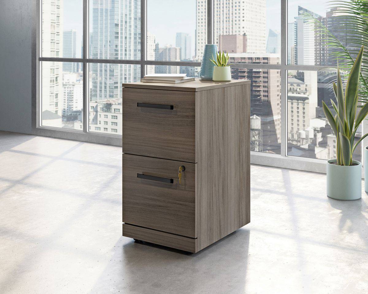 Affiliate 2 Drawer Mobile Pedestal by Teknik - Price Crash Furniture