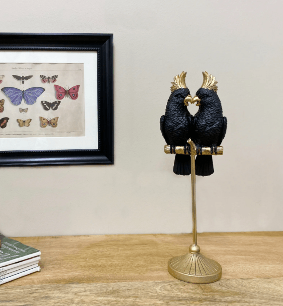 Black And Gold Cockatoo Pair - Price Crash Furniture