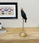 Black And Gold Cockatoo Pair - Price Crash Furniture