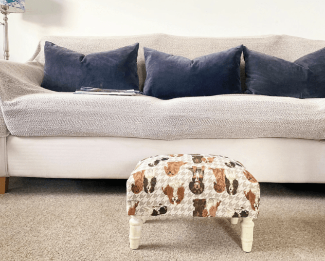 Dog Fabric Footstool With Drawer - Price Crash Furniture