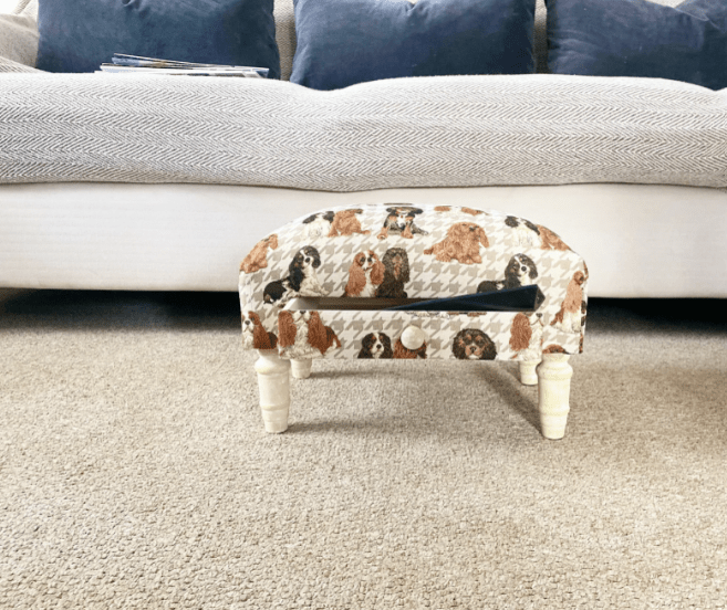 Dog Fabric Footstool With Drawer - Price Crash Furniture