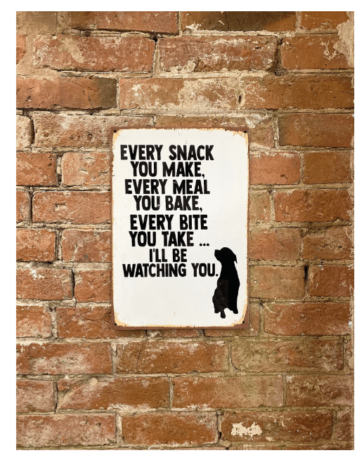 Metal Advertising Wall Sign - Every Snack Meal Make I'll Be Watching You Dog Lab - Price Crash Furniture