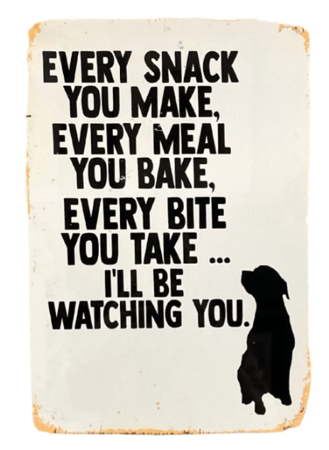 Metal Advertising Wall Sign - Every Snack Meal Make I'll Be Watching You Dog Lab - Price Crash Furniture