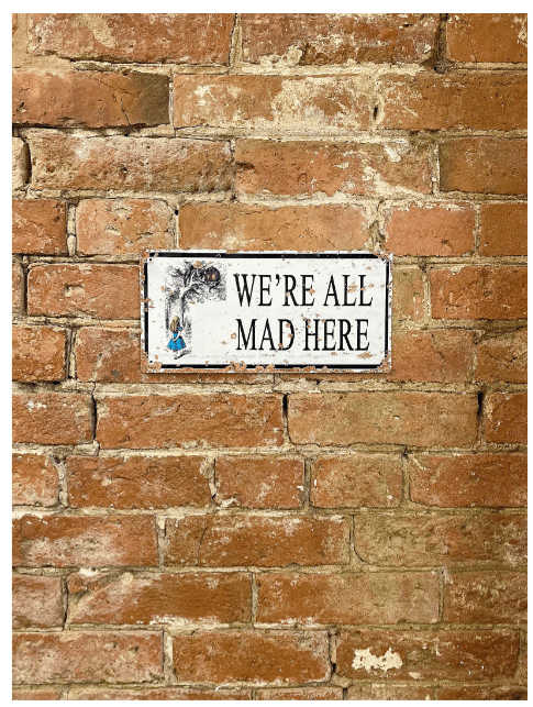 Vintage Metal Sign - Alice In Wonderland - We're All Mad Here - Price Crash Furniture