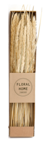 Decorative Dried Pampas Grass 60cm - Price Crash Furniture