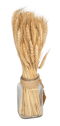 Dried Barley Bouquet in Glass Jar 40cm - Price Crash Furniture