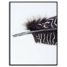 Black Feather With White Spots Over 3 Black Glass Frames - Price Crash Furniture