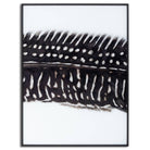 Black Feather With White Spots Over 3 Black Glass Frames - Price Crash Furniture