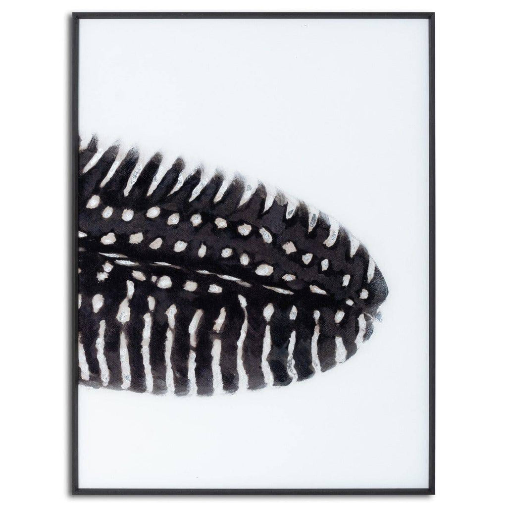 Black Feather With White Spots Over 3 Black Glass Frames - Price Crash Furniture