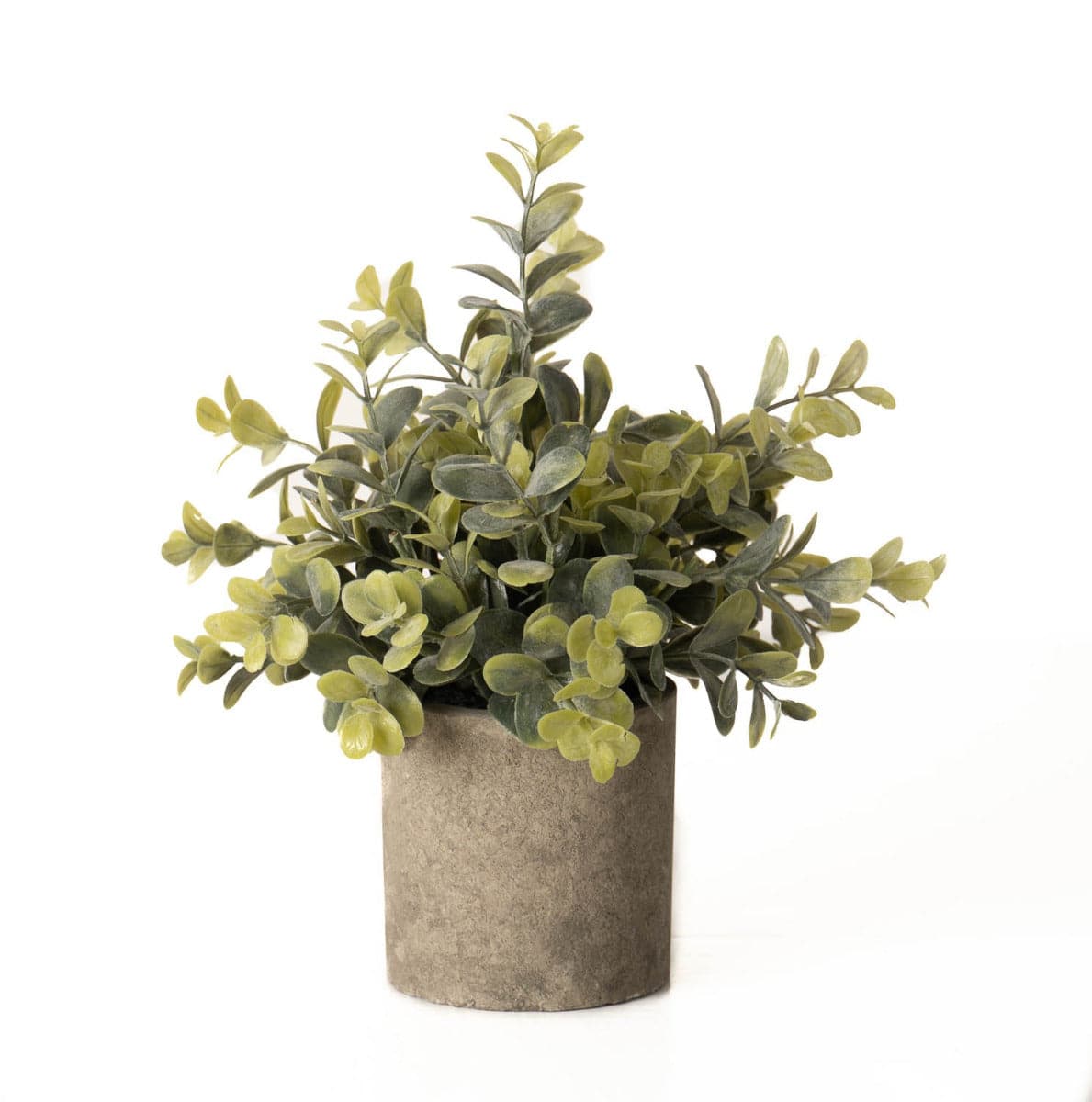 Eucalyptus Plant In Stone Effect Pot - Price Crash Furniture