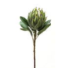 Large Green Protea - Price Crash Furniture