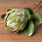 Large Green Protea - Price Crash Furniture