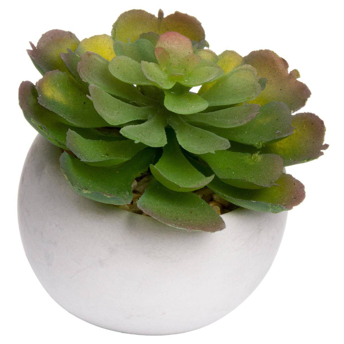 Miniature Lola Succulent In Cement Pot - Price Crash Furniture