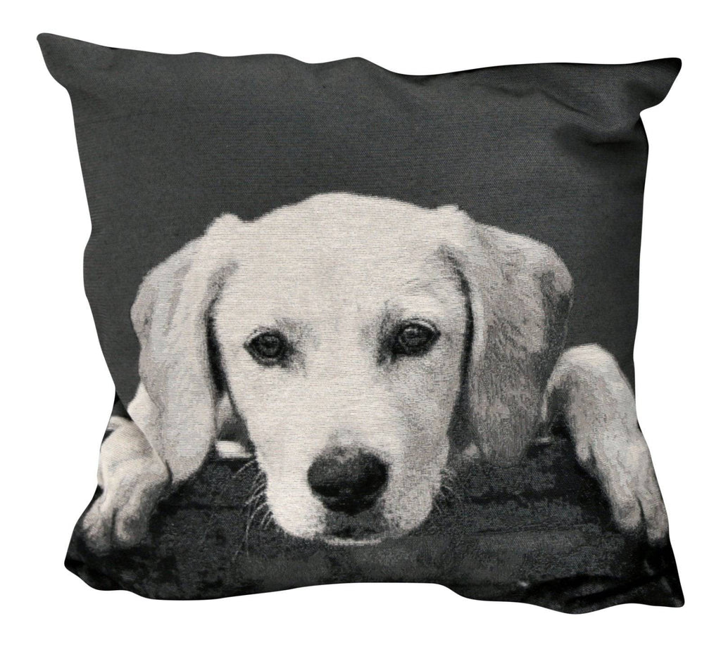 43x43cm Monochrome Dog Cushion - Labrador - Price Crash Furniture