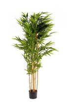 Artificial 2m Bamboo Tree - Price Crash Furniture