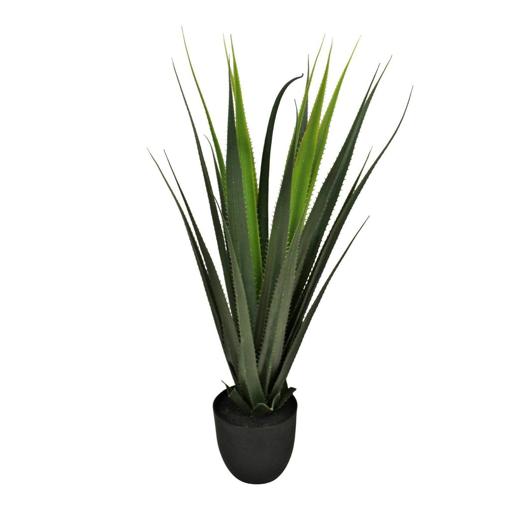 Artificial Aloe Vera Plant, 80cm - Price Crash Furniture