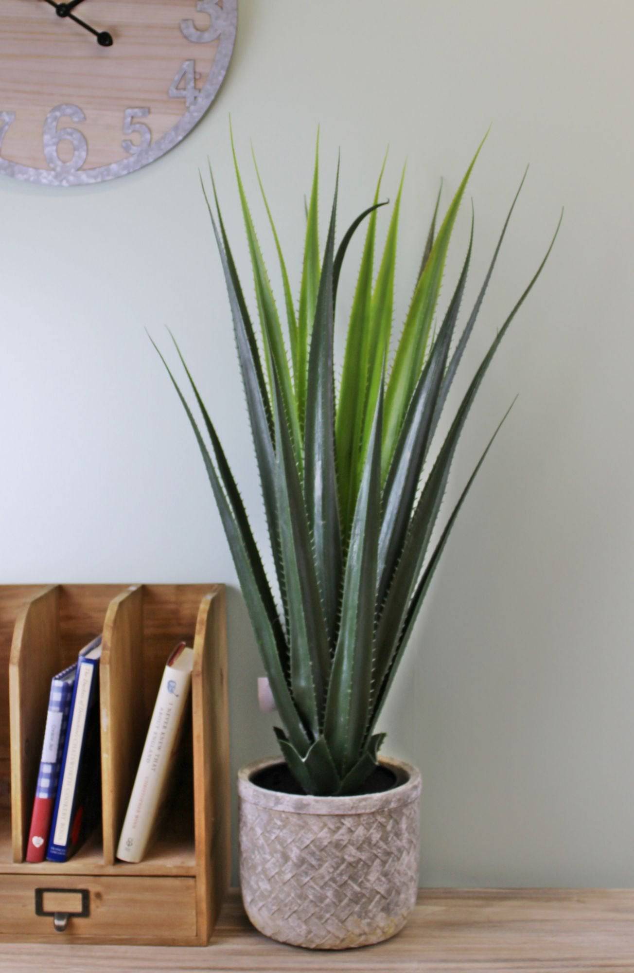 Artificial Aloe Vera Plant, 80cm - Price Crash Furniture