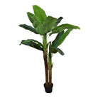 Artificial Banana Tree, 160cm, 2 Stems - Price Crash Furniture