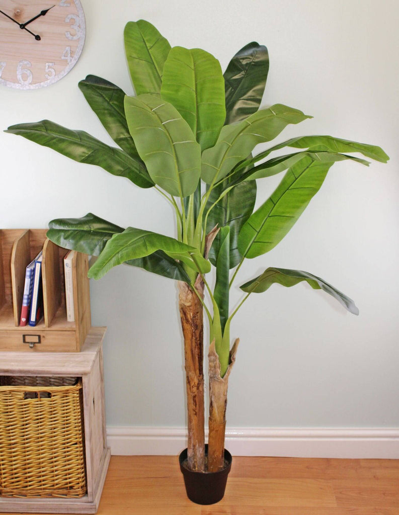 Artificial Banana Tree, 160cm, 2 Stems - Price Crash Furniture