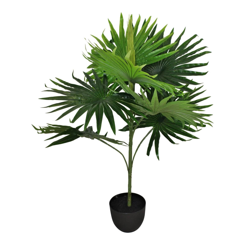Artificial Fan Palm Tree 80cm with 8 leaves, Washingtonia Palm - Price Crash Furniture