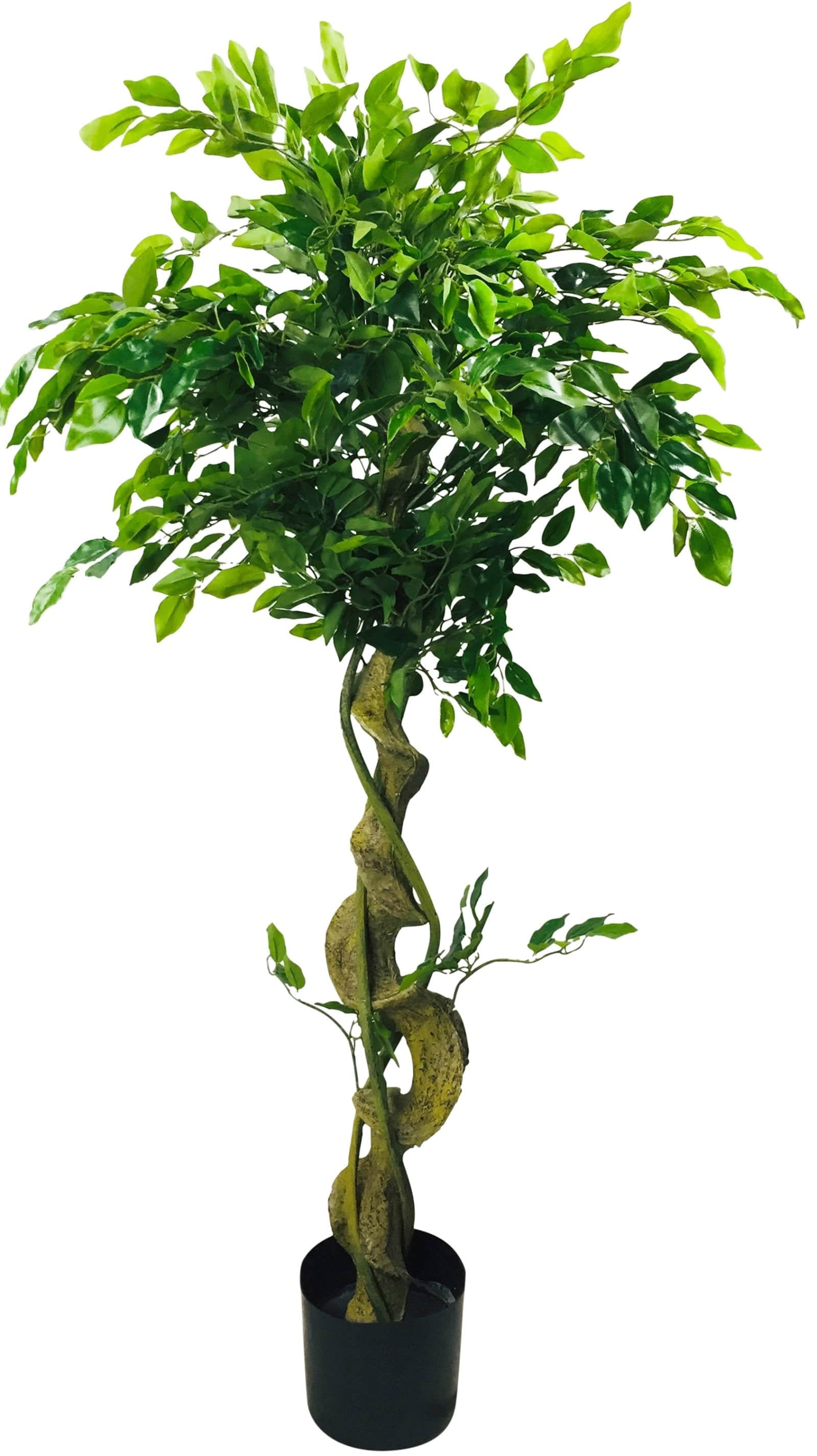 Artificial Ficus Tree 137cm with Twisted Trunk - Price Crash Furniture