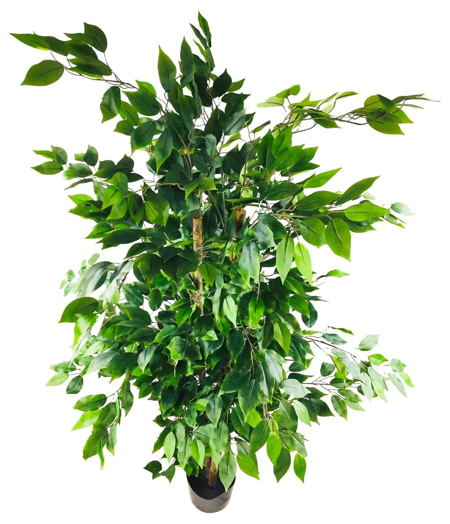 Artificial Ficus Tree with Pot 200cm - Price Crash Furniture