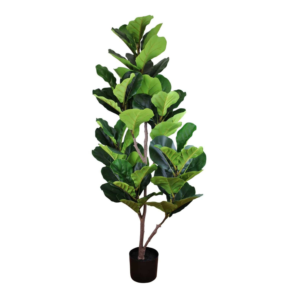Artificial Fiddle Leaf Fig Tree 130cm, Ficus lyrata - Price Crash Furniture