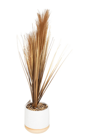 Artificial Grasses In A White Pot With Brown Feathers - 50cm - Price Crash Furniture