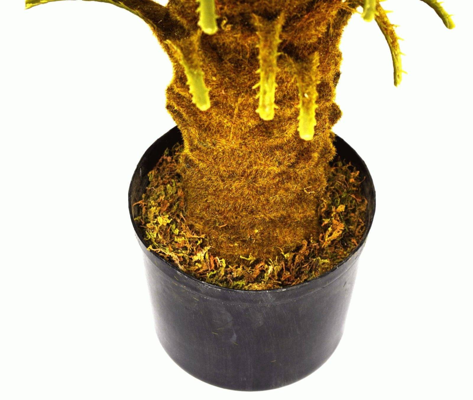 Artificial Large 90cm Cycas Cycad Tree - Price Crash Furniture