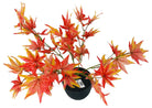 Artificial Maple Tree 47cm - Price Crash Furniture