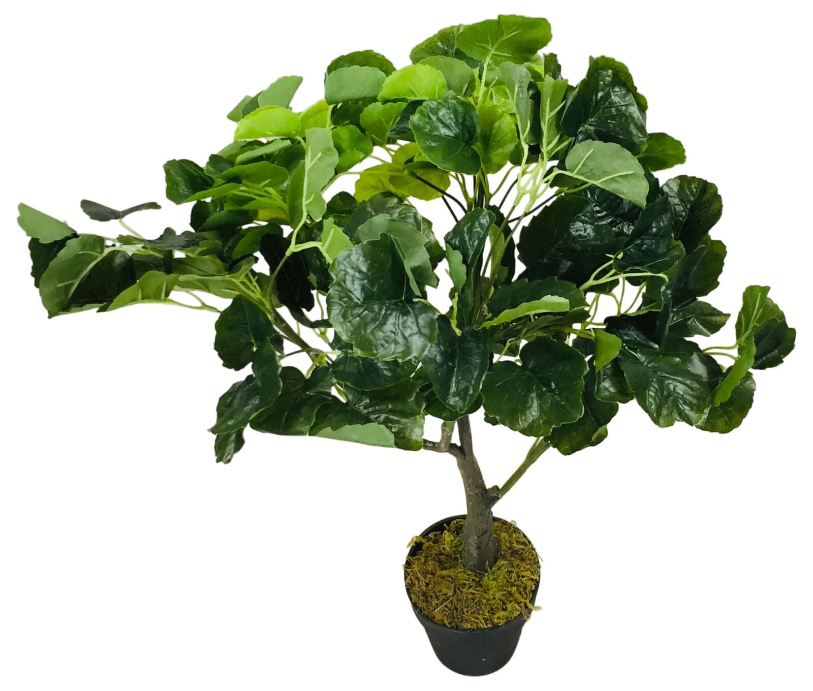 Artificial Money Bag Plant 77cm - Price Crash Furniture