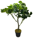 Artificial Money Bag Plant 77cm - Price Crash Furniture