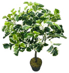 Artificial Money Bag Tree 103cm - Price Crash Furniture