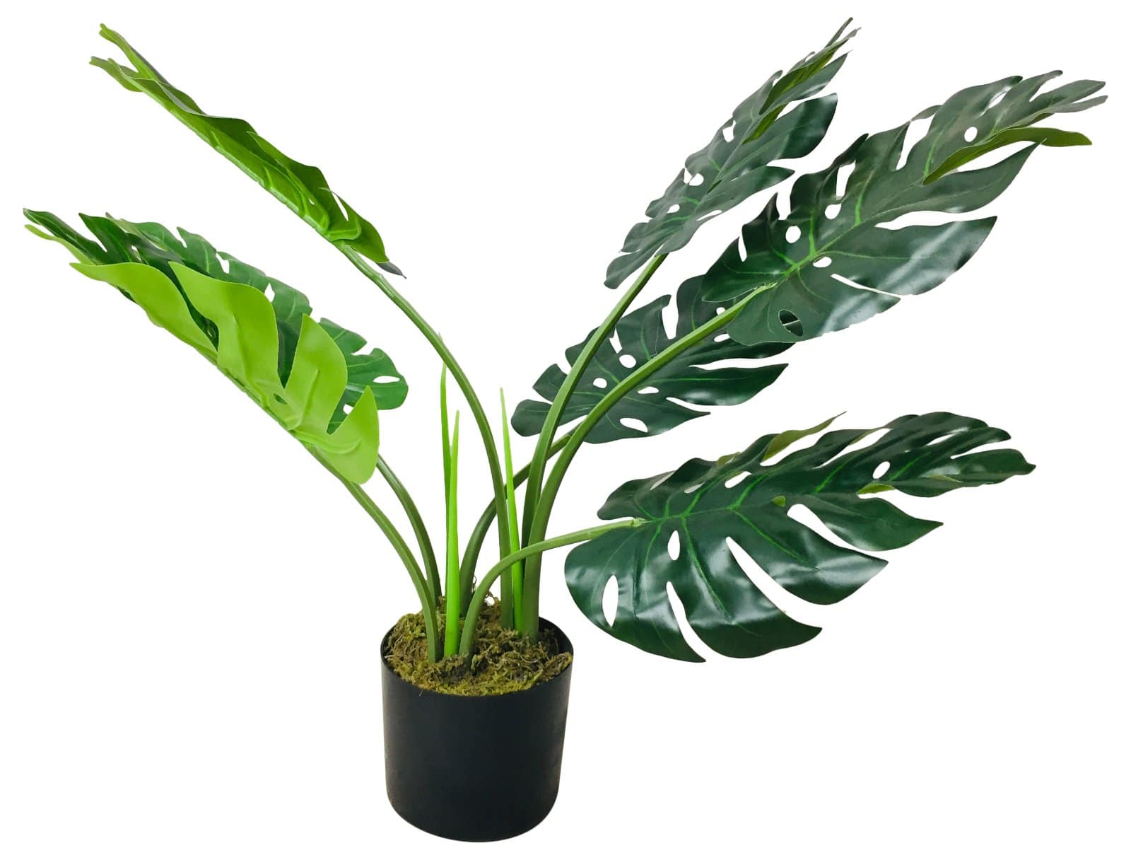 Artificial Monstera Plant 70cm, Cheese Plant - Price Crash Furniture