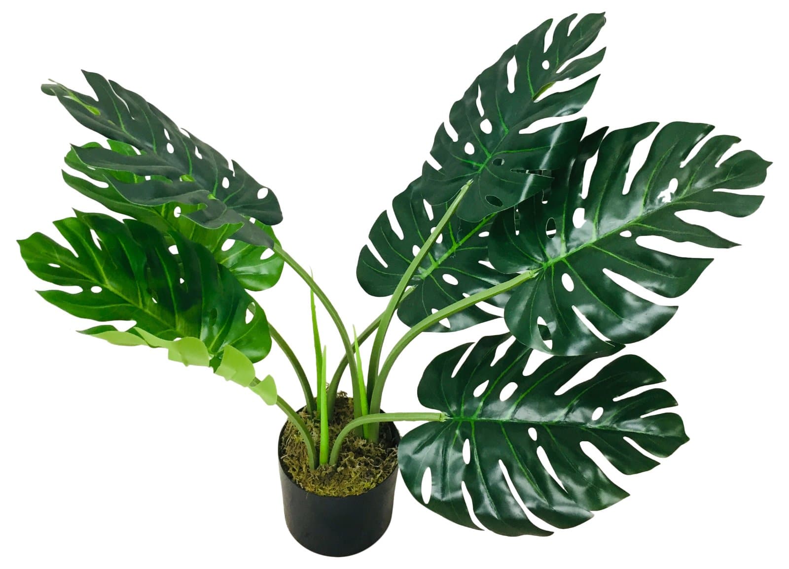 Artificial Monstera Plant 70cm, Cheese Plant - Price Crash Furniture