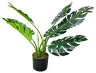 Artificial Monstera Plant 70cm, Cheese Plant - Price Crash Furniture